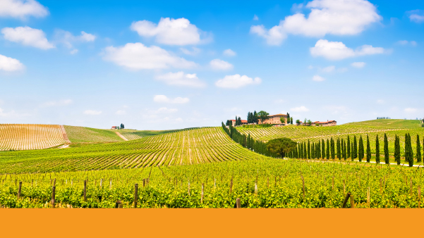 Toscana - Montecatini Terme efter�r 2026